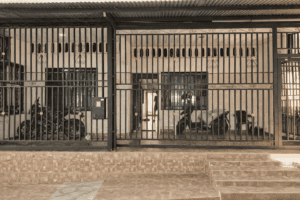 Casa en venta en Florencia Caquetá fachada barrio Pablo VI