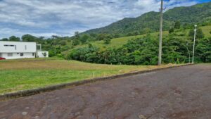 Vía de acceso y linderos de lote campestre en Florencia Caquetá