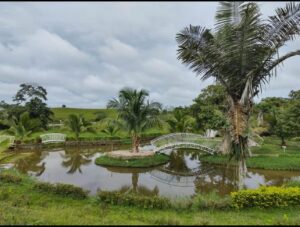 Lago y senderos ecológicos en el Condominio María de Jesús