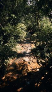 Lote en venta en Florencia Caquetá río natural del condominio