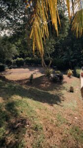 Lote en venta en Florencia Caquetá nivel de terreno